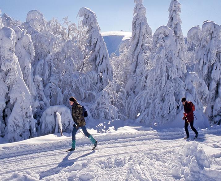 Chalet Confort Aloya Ranspach Экстерьер фото